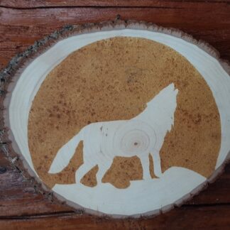 Natural wolf #700