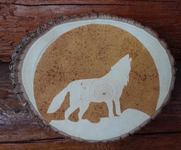 Natural wolf #700